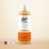 Boots Everyday Mango And Papaya Conditioner
