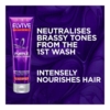 Loreal Elvive Colour Protect Purple Conditioner 2