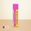 Burts Bees Moisturizing Lip Balm Dragonfruit Lemon