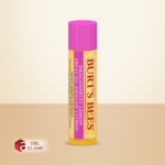 Burt's Bees Moisturizing Lip Balm, Dragonfruit Lemon
