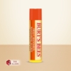 Burts Bees Moisturizing Lip Balm Sweet Mandarin