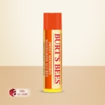 Burt's Bees Moisturizing Lip Balm, Sweet Mandarin