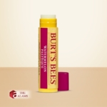 Burt's Bees Moisturizing Lip Balm, Watermelon