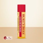 Burt's Bees Moisturizing Lip Balm, Strawberry