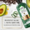 Herbal Essences Aloe And Avocado Oil Curl Hydrator Conditioner, 400 ml