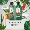 Herbal Essences Color Protect Aloe And Mango Shampoo And Conditioner Set