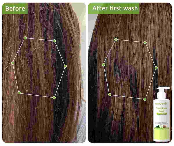 WishCare Triple Bond Repair Shampoo For Dry Damaged Hair, 250 ml 3 WishCare Triple Bond Repair Shampoo For Dry Damaged Hair, 250 ml - Image 3