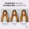 Loreal Hydra Pure 72H Purifying Shampoo 3