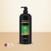 Tresemme Bouncy Curls Shampoo